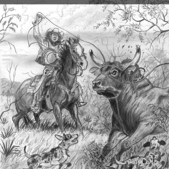 Meet your Posher, Bryan - Picture 1 of 1